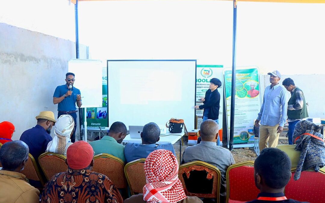 Training on increasing crop productivity and its impact on household income